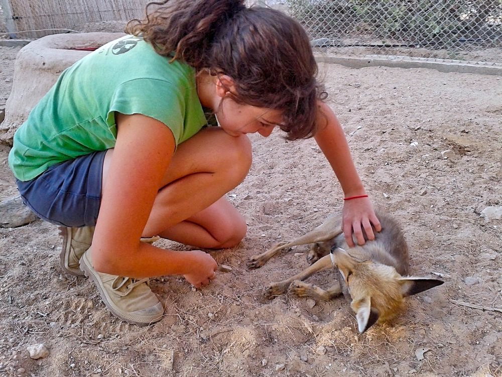 Photo by Naomi B., GoEco Israel Alum The Cost of Volunteering in Israel: Kibbutz
