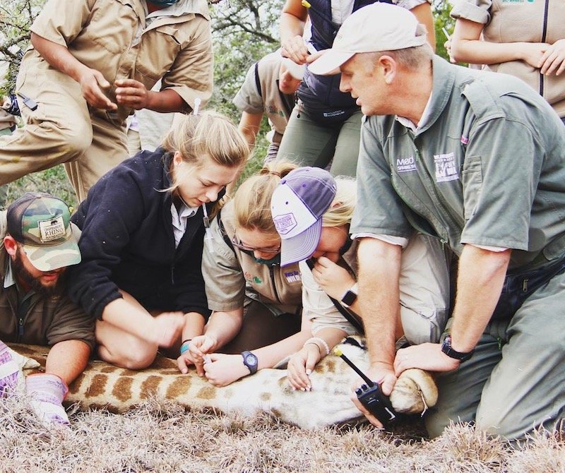 Photo by Constance, Worldwide Experience South Africa Alum Was Volunteering Abroad the Most Selfish Thing I've Ever Done?: More Good Intentions than Impact