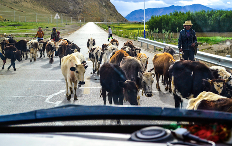 Trekking in Tibet: Unveiling More than Just the Himalayas: The End of the Road