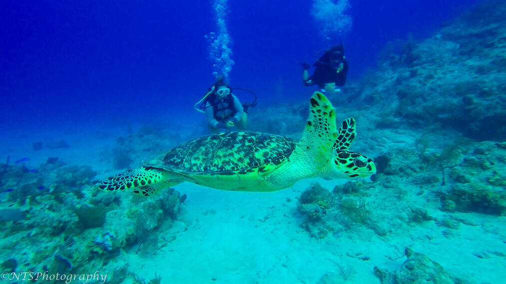 What to Know Before Studying Abroad in Costa Rica: Public Transportation is Safe