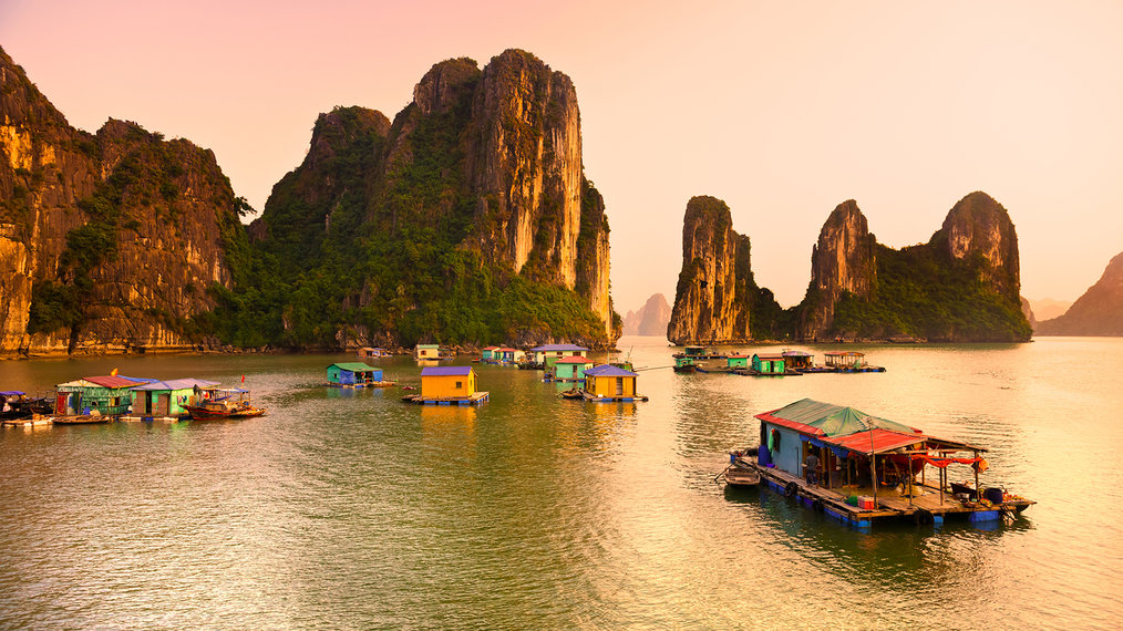 Photo by TESOL Coach Master Vietnam Alum Why You Should Learn a Language on Your Gap Year: Resume