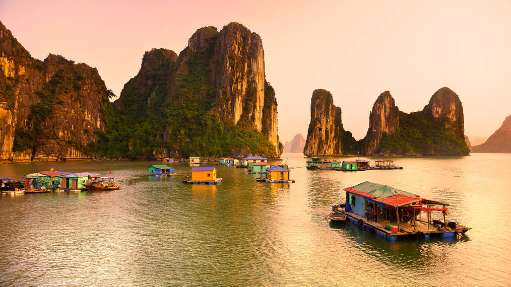 Why You Should Learn a Language on Your Gap Year: Resume