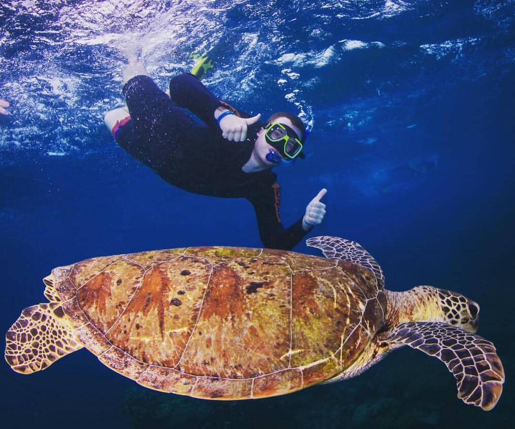 Ryan, TEAN Study in Sydney