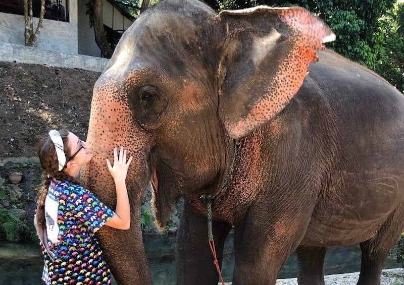 Photo by Eliza, CIS Abroad Thailand Alum The Best Countries for Volunteering with Elephants: Where Can you Volunteer