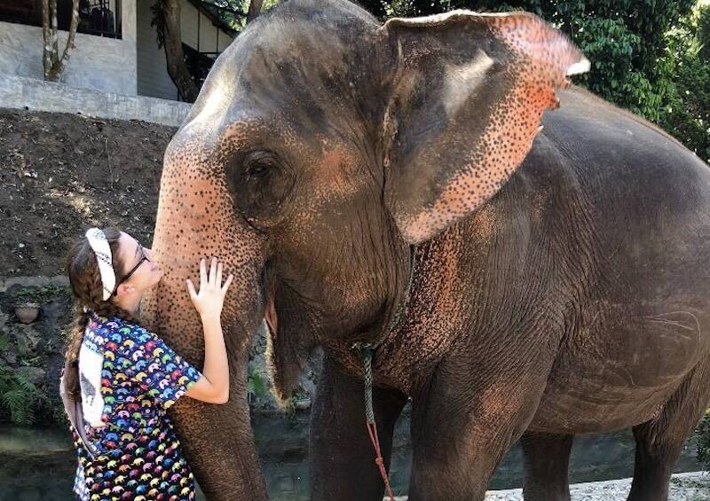 The Best Countries for Volunteering with Elephants: Where Can you Volunteer