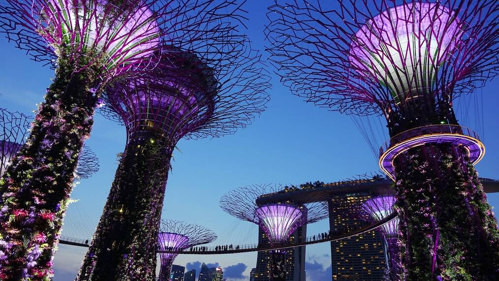 Gap Year in Singapore: Gardens by the Bay
