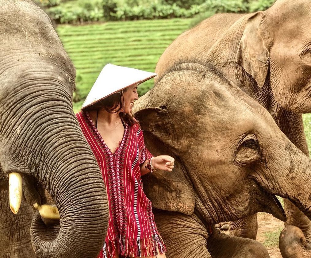 Photo by Alanna, TruTravels Thailand Alum What to Know Before Volunteering with Elephants
