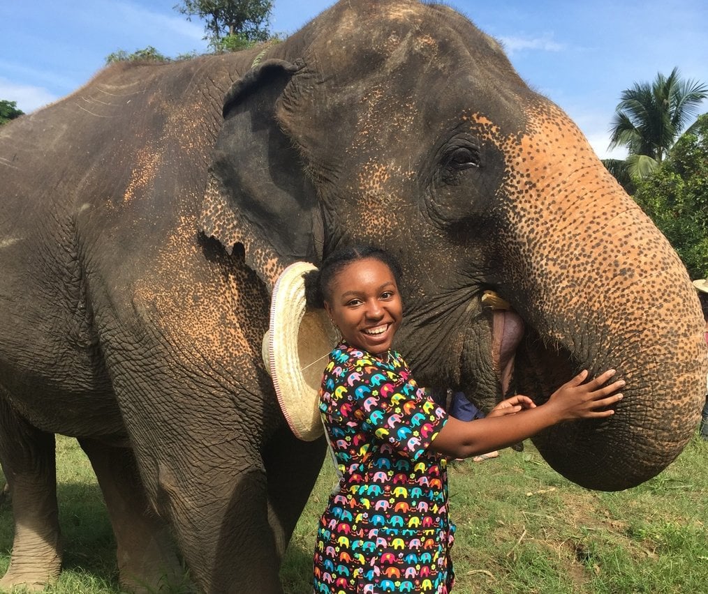 Photo by Randi, CIS Abroad Thailand Alum What to Know Before Volunteering with Elephants: What's the Cause?