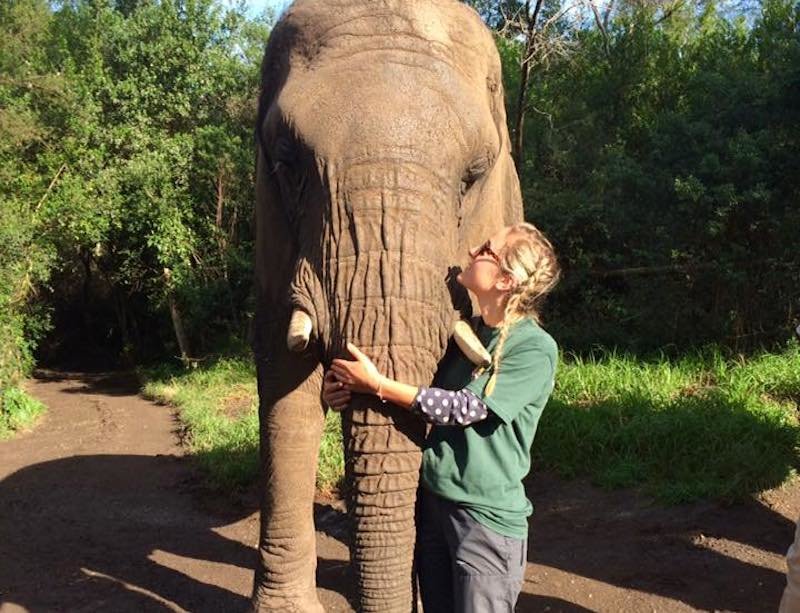 Photo by Saffy, Edge of Africa Alum What to Know Before Volunteering with Elephants: What to Look For