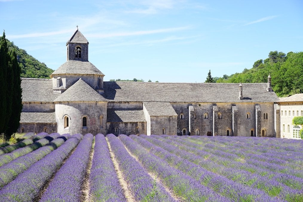 American Universities in Europe - Provence