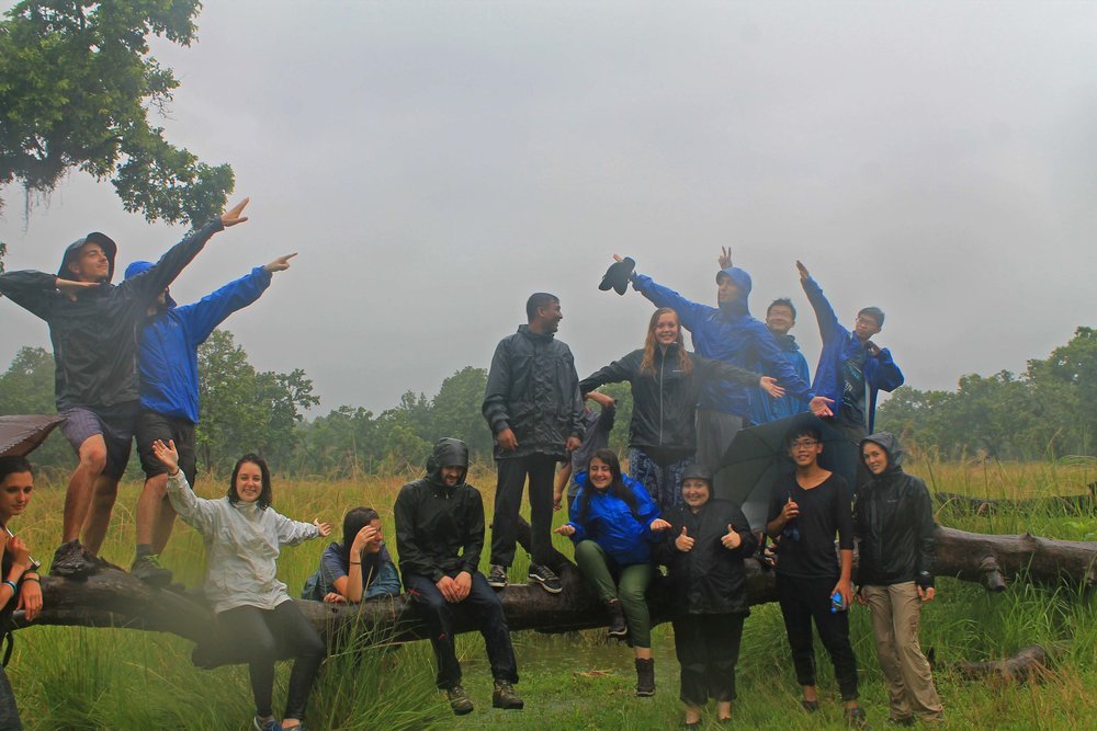 Photo by Leah M., IVHQ Nepal Alum Volunteering in Nepal: Her Farm