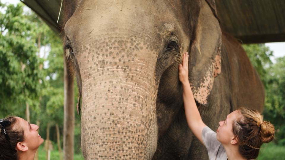 Photo by Vic S., GIVE Volunteers Alum Volunteering in Nepal: Where to Volunteer