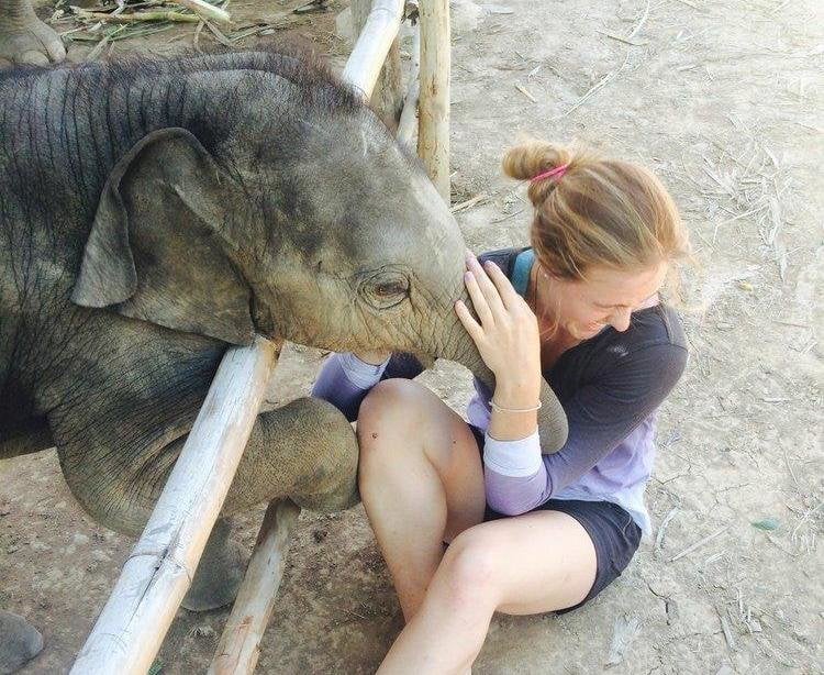 Photo credit: Emily, Volunteering Solutions Thailand Alum Paid Volunteering Abroad - Emily, Volunteering Solutions Thailand