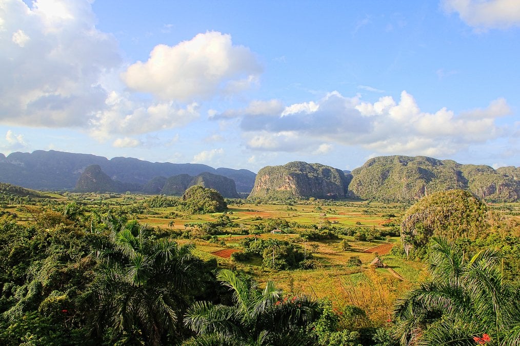Study in Cuba - Viñales