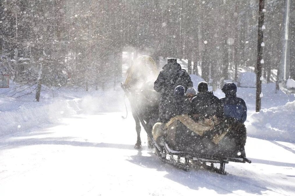Photo credit: Fang X., Russian Studies in Real Russia Alum Best Languages to Learn - Russian