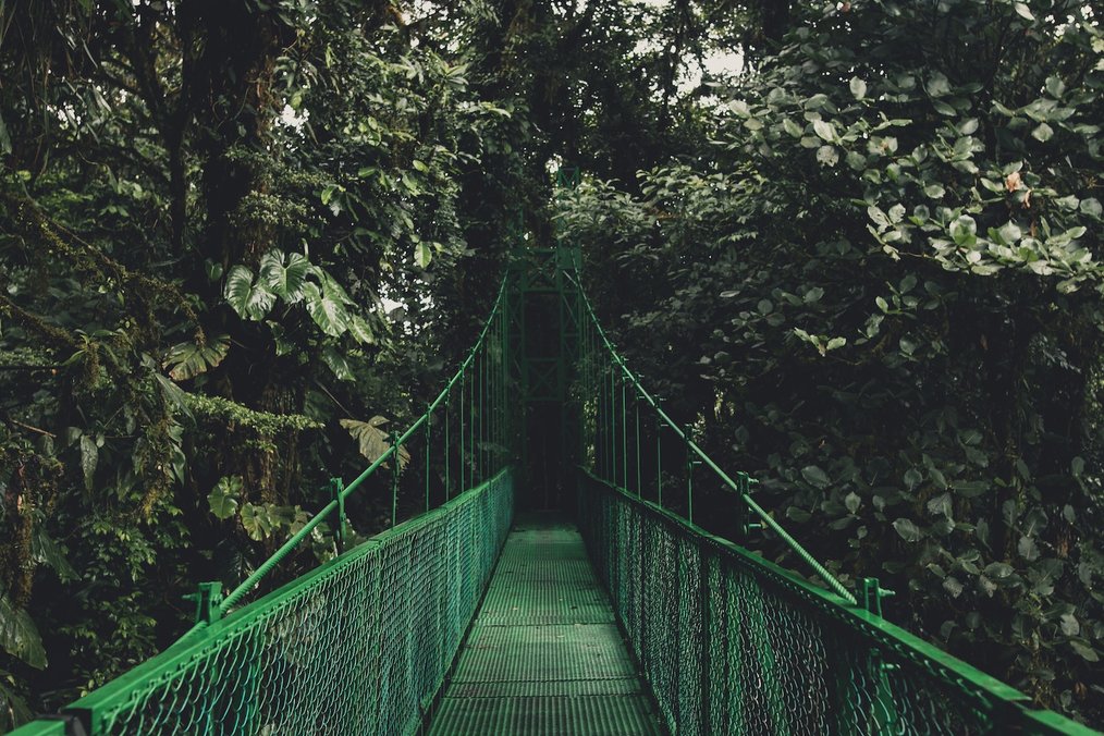 Best Things in Costa Rica - Monteverde - Unsplash
