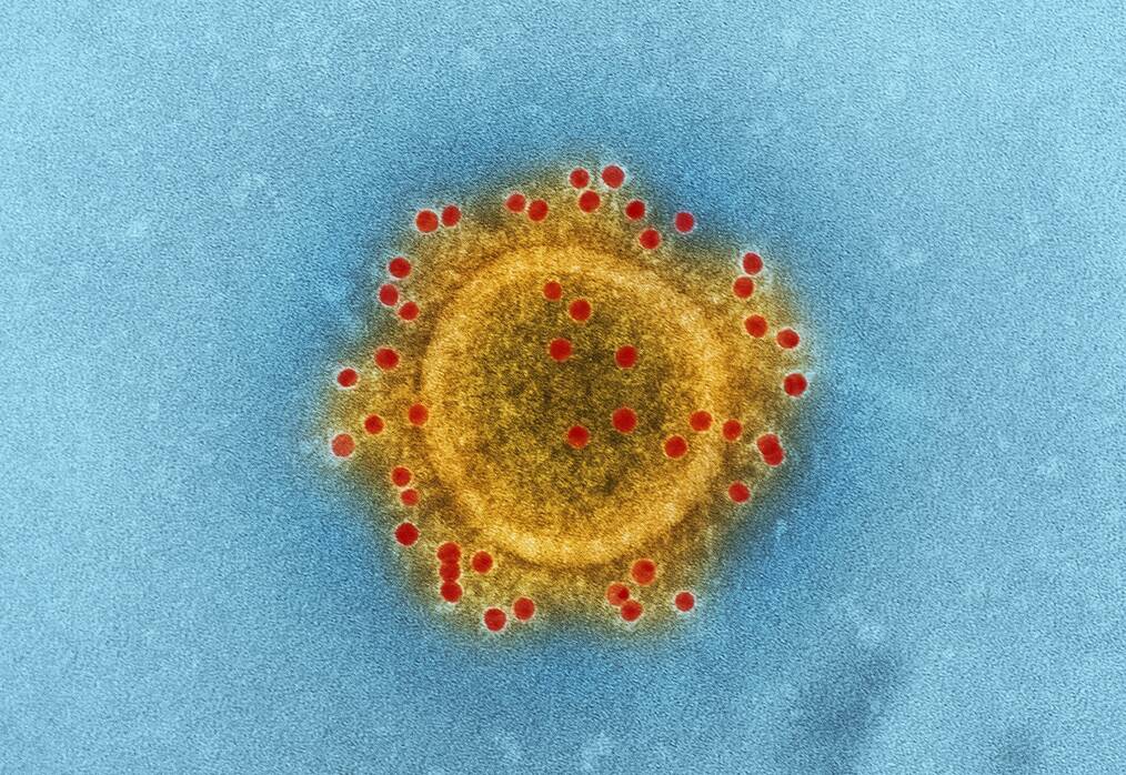 Coronavirus Unsplash