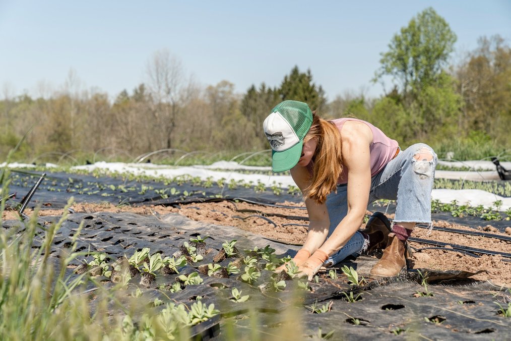 wwoof italia  
wwoof italia elenco aziende 
wwoofing italia  
woofer italia  
fattoria italia  
vacanze lavoro italia  
vacanza lavoro italia  
lavorare in una fattoria  
fattorie italia  
world wide opportunities on organic farms  
viaggiare gratis lavorando  
vacanza gratis in cambio di lavoro  
lavorare in fattoria italia 