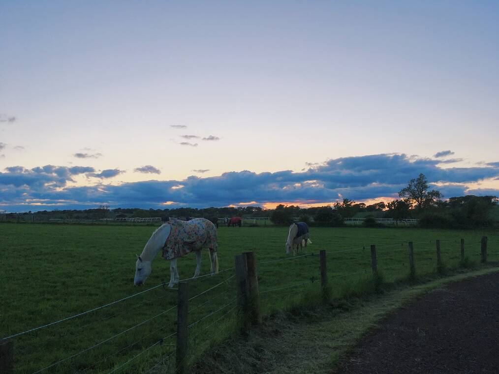 Photo by Alina D., Adelante Abroad Alum