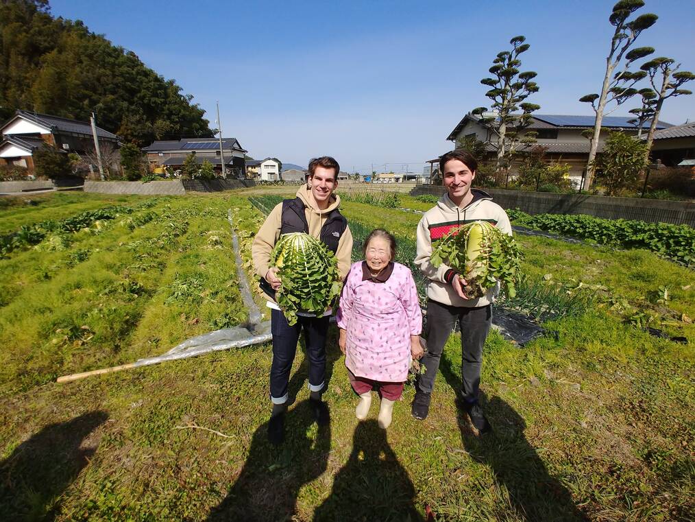 Two men holding plants standing next to a woman.