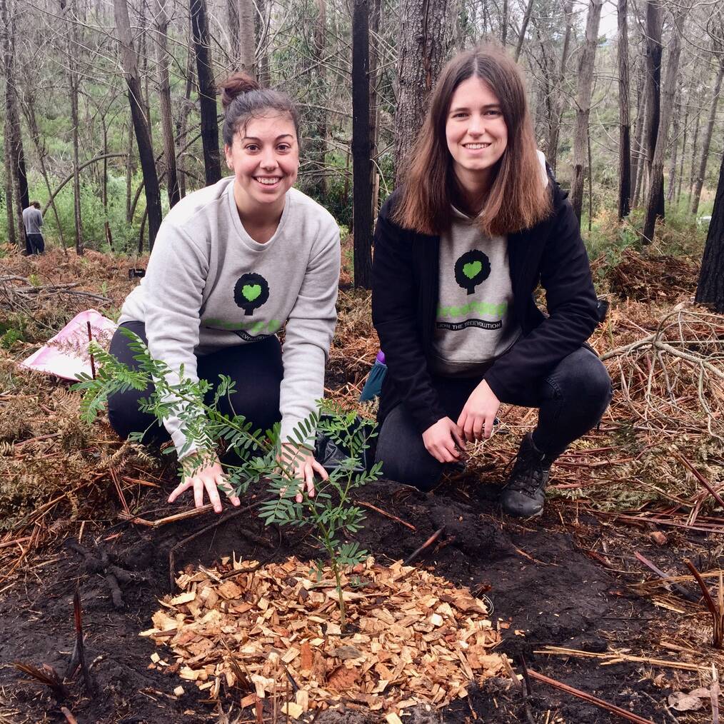 Two women planting a tree.