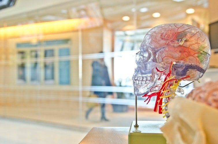 Benefits of study abroad during pre med