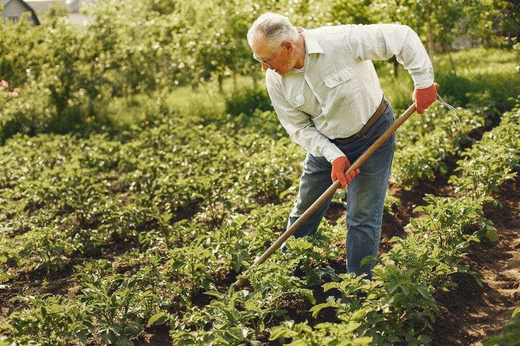 Man volunteering abroad on a farm