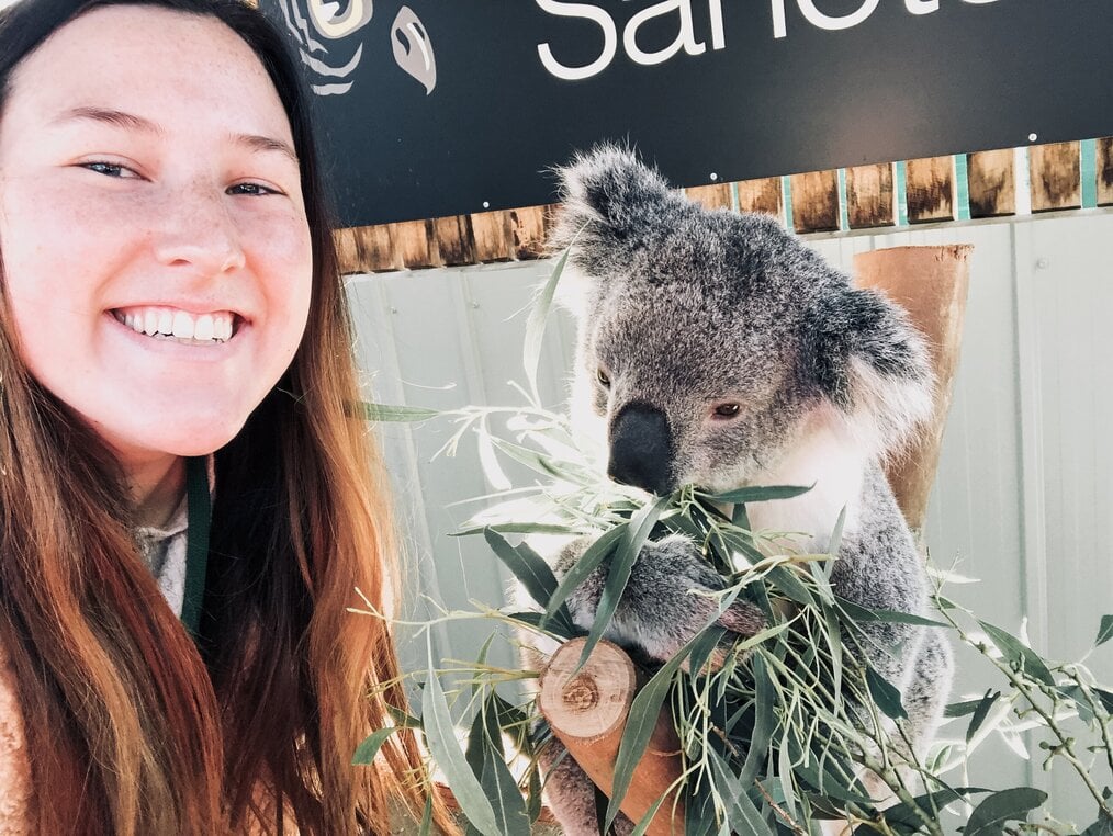 Traveler with a koala in Australia