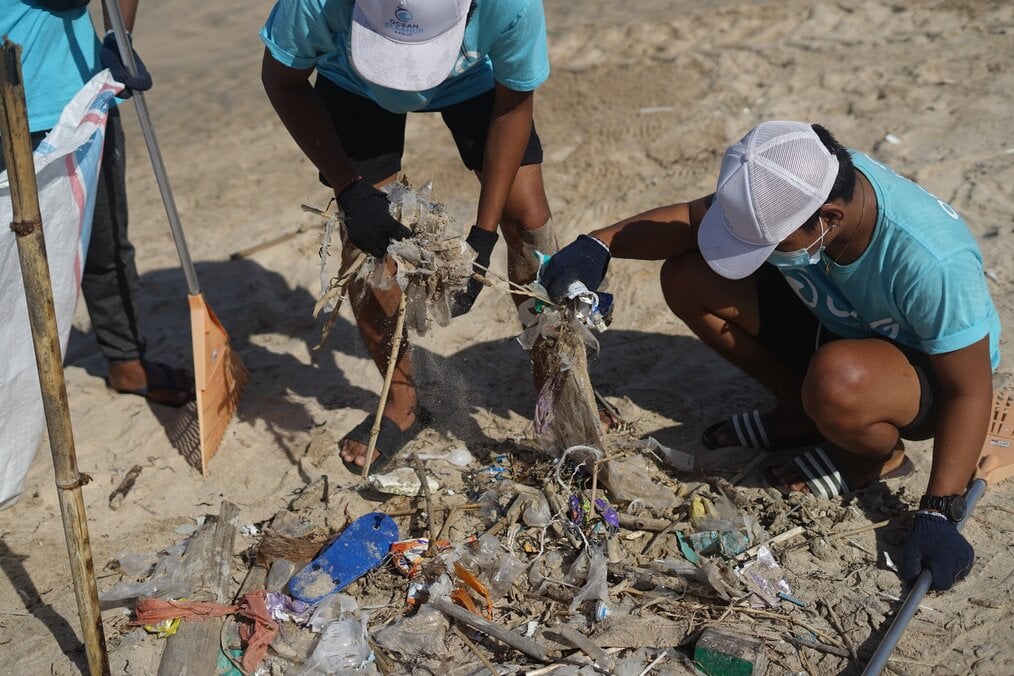 Group of people cleaning a beach.