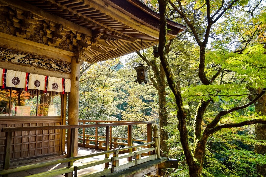 A builiding in a forest in Japan.