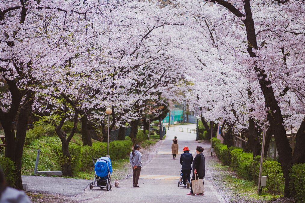 Family walking underneath trees