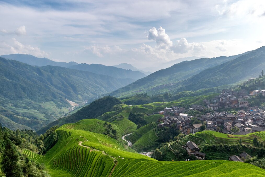 Rolling green rice fields in Guilin, China.