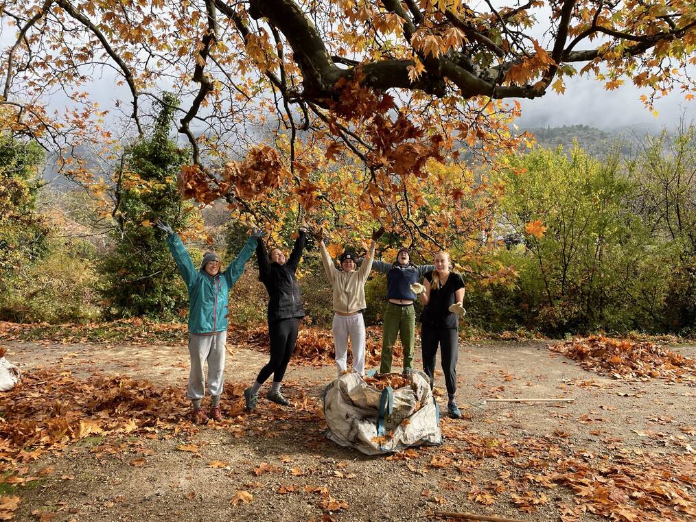Study abroad students playing in fall leaves