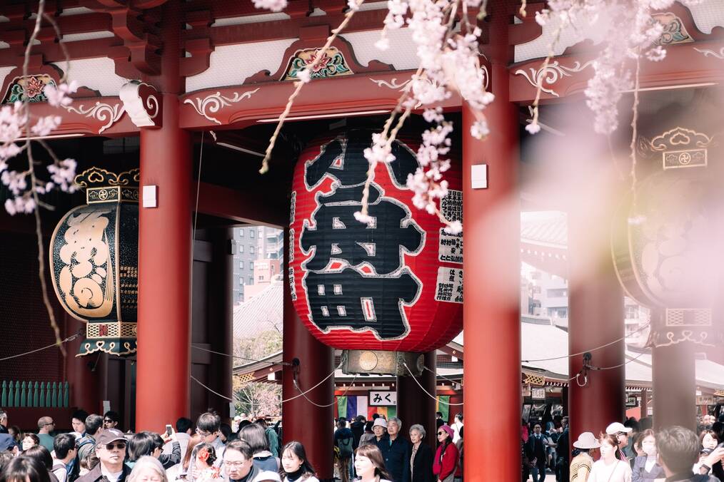 A Japanese lantern at a temple with cherry blossom trees