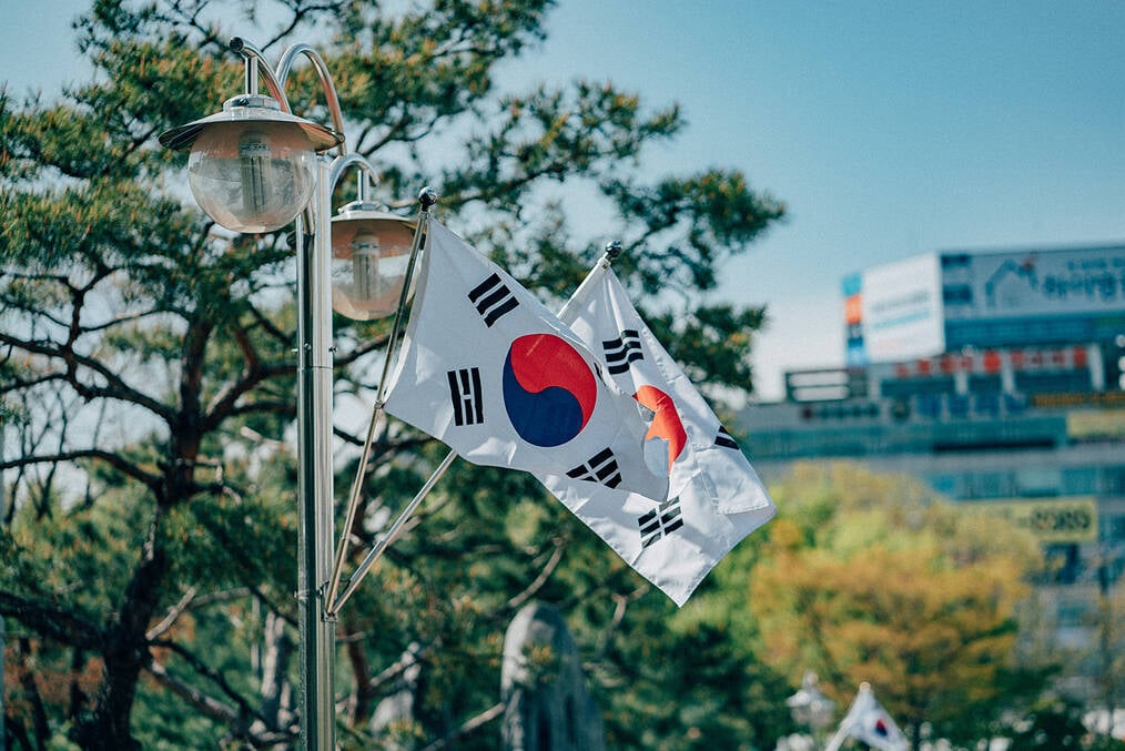 A set of South Korean flags waving in the wind
