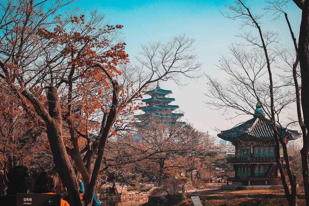 A fall day in a park in Seoul with buildings in the background