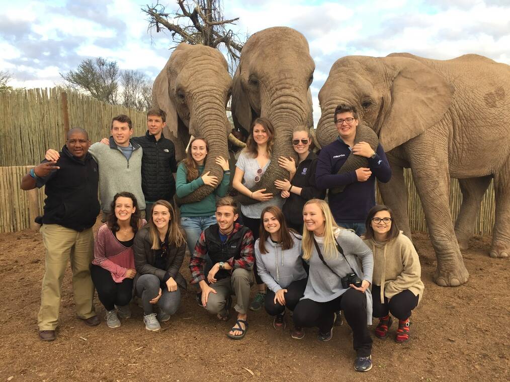 Rebecca her study abroad group posing for a picture with three elephants behind the group