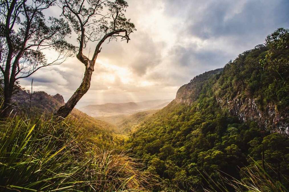 The sun breaking through the clouds in a clearing view point in Lamington National Park