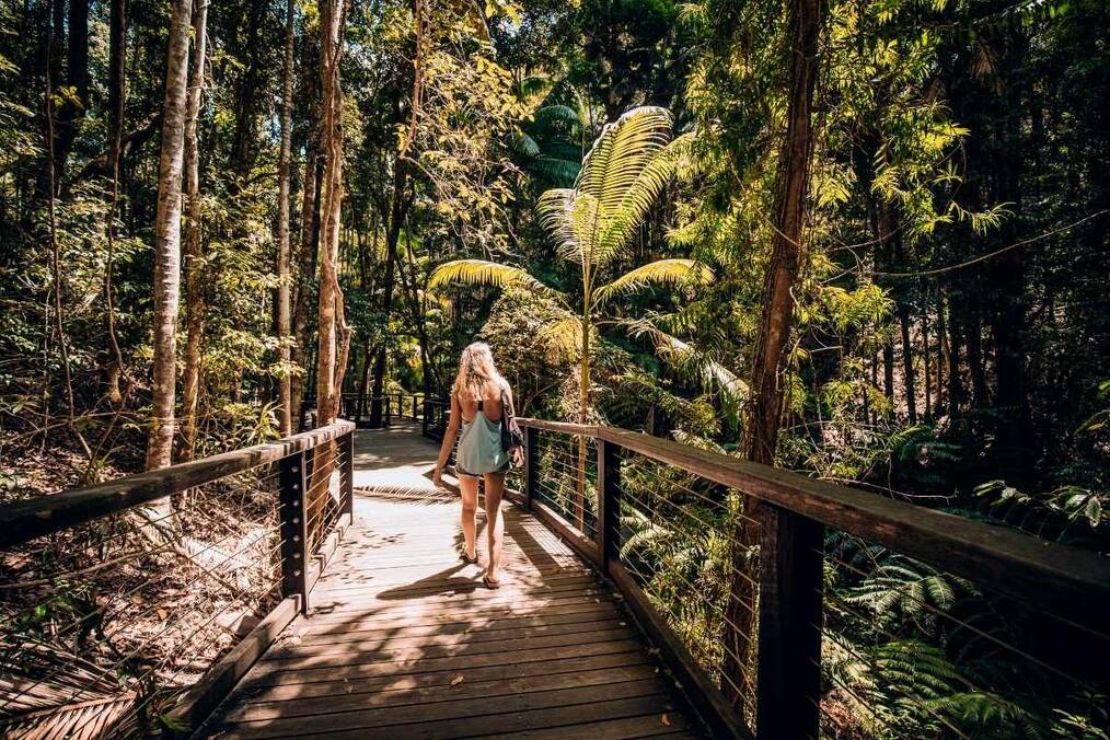 A person with blond long hair and a blue tank top and shorts walking on a wooden path next to tropical trees