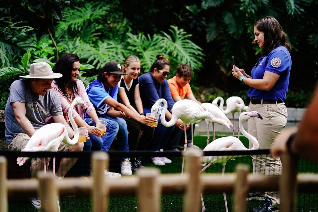 Photo by Oxana Melis on Unsplash A group of people feeding flamingos.