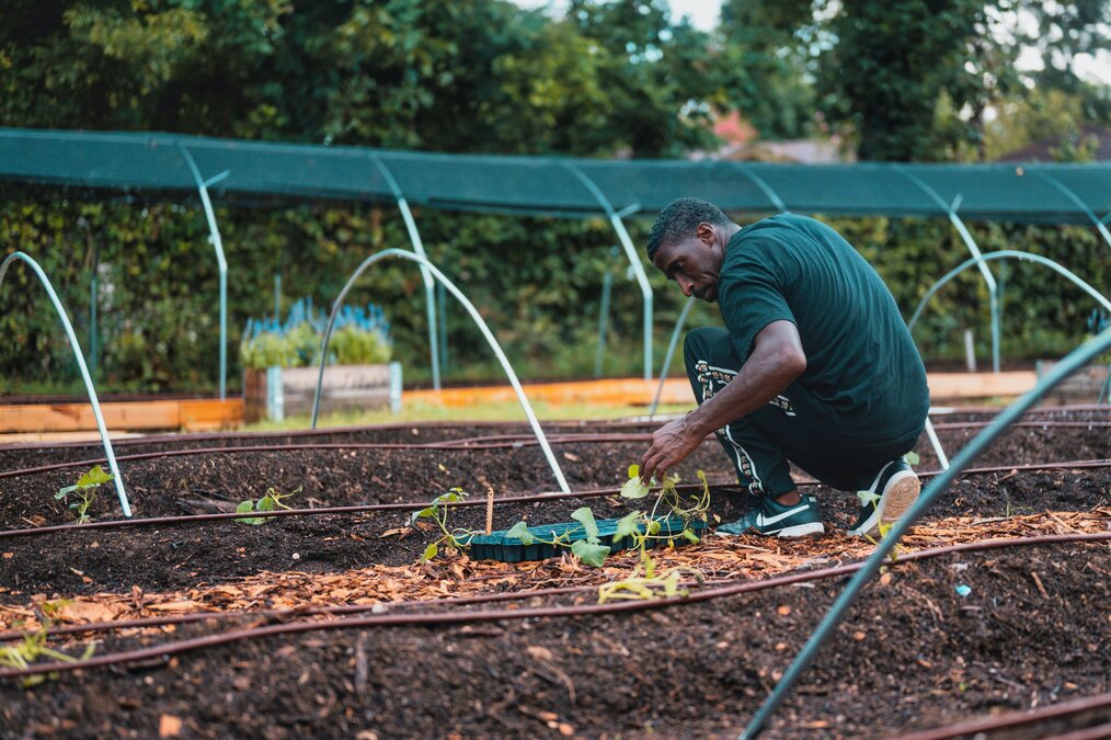 Photo by Alfo Medeiros An older Black man works in a garden plot.