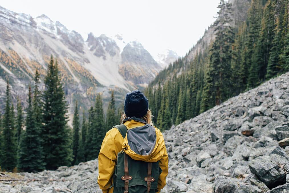 Person looking at mountains and trees