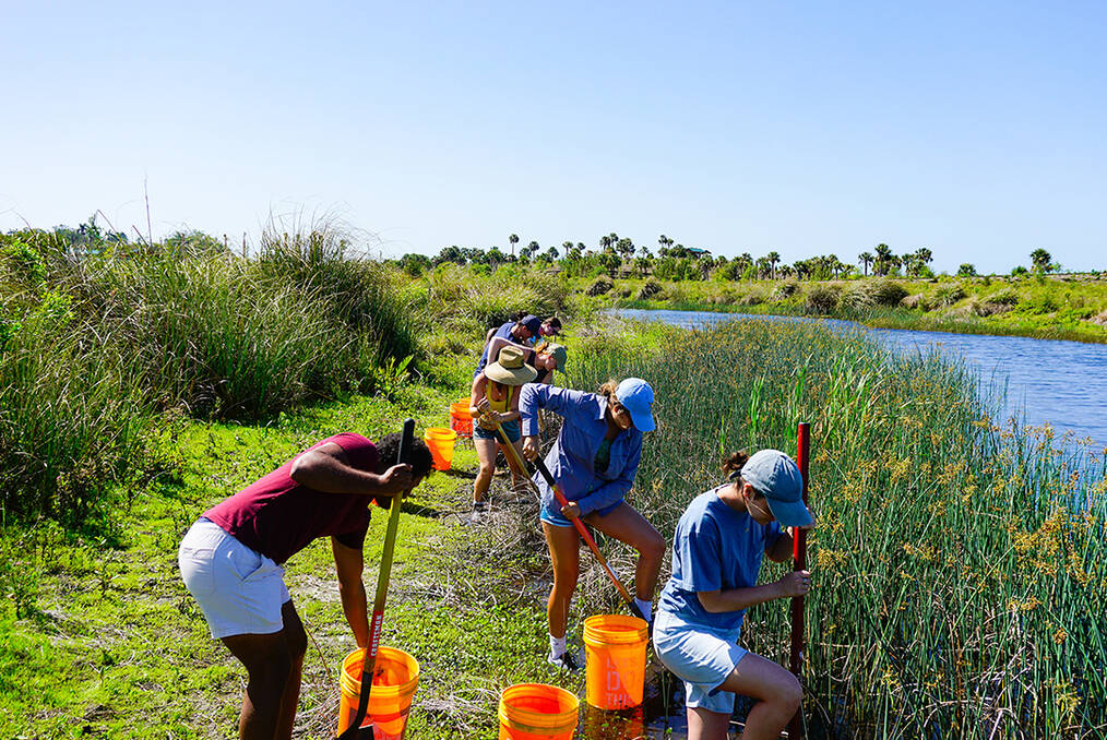 A group of volunteers digging