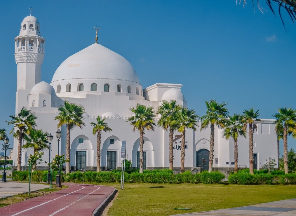 Image curtesy of Akil Imran, Unsplash A white mosque in Saudi Arabia with palm trees outside