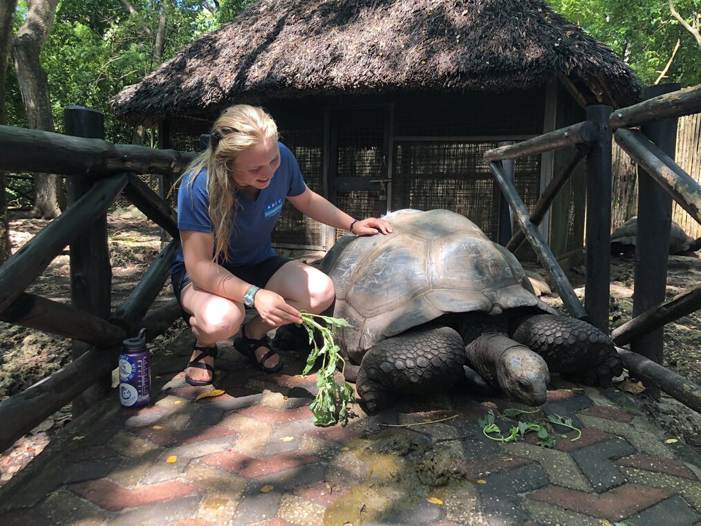 Adelaide H.,East Africa,ARCC Programs Smiling woman crouches beside large turtle eating greens.