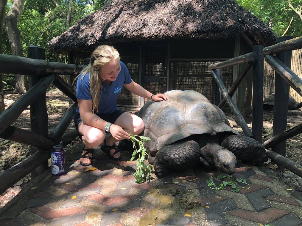 Smiling woman crouches beside large turtle eating greens.