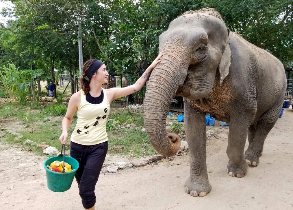 Krystina, Pod Volunteer Thailand A woman carrying a bucket of fruit pets an elephant.