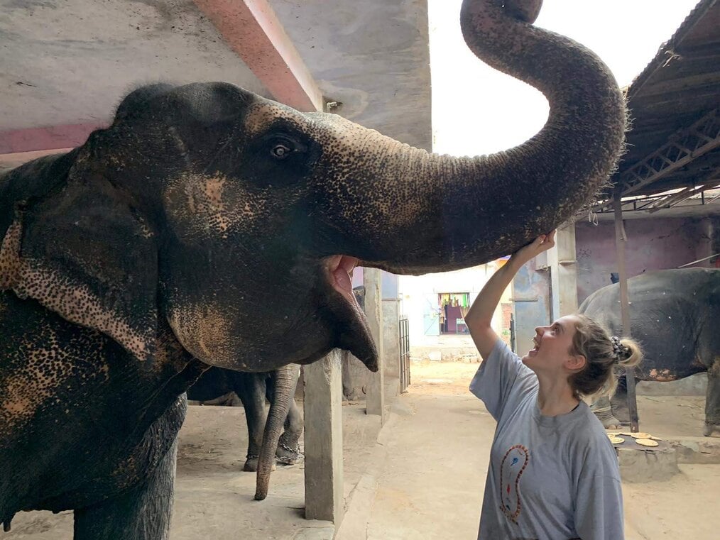 Lottie P., Volunteering With India India A smiling woman touches the trunk of a large elephant.