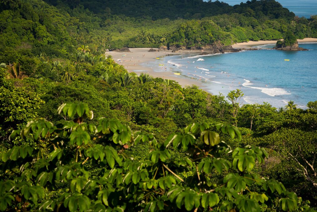 Photo by Christina Victoria Craft on Unsplash Green jungle surrounds a white sand beach with blue water.