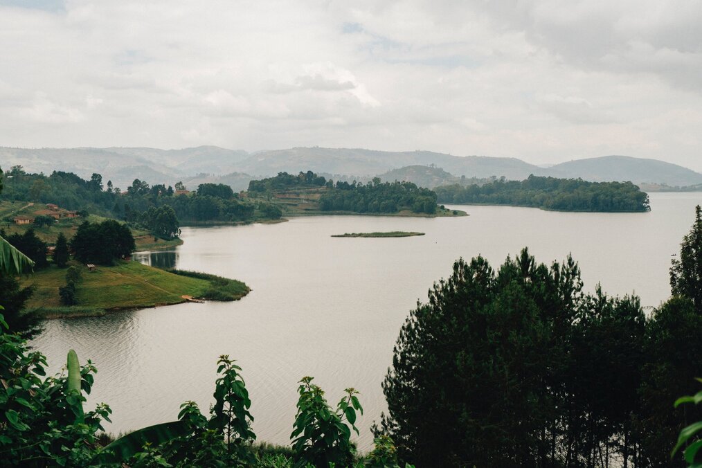 Photo by Social Income on Unsplash Trees surround a lake in Uganda.